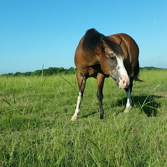 Meet your Posher, Whitney