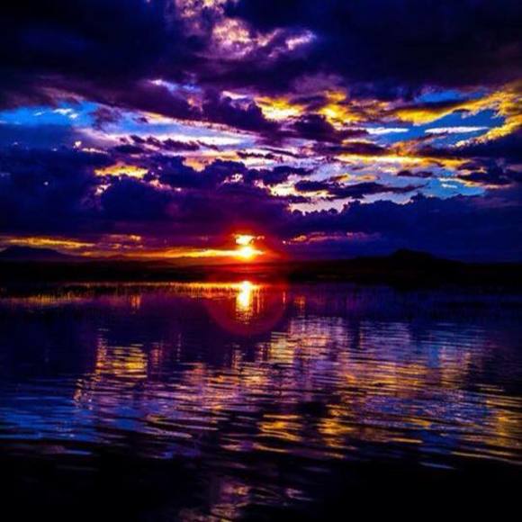 Meet your Posher, Bonnie