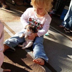 Meet your Posher, Anthony