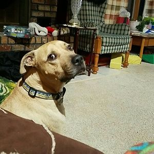 Meet your Posher, Kay