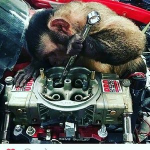 Meet your Posher, Joseph