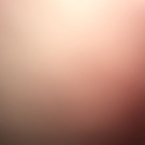 Meet your Posher, Elly