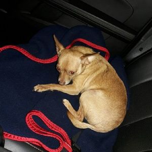 Meet your Posher, Jason