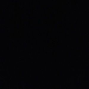 Meet your Posher, Shelby