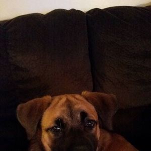 Meet your Posher, Philip