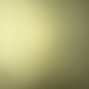 Meet your Posher, Mia