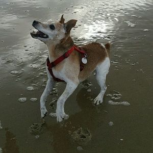 Meet your Posher, Bobbi