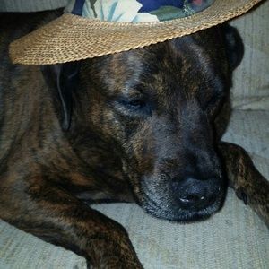 Meet your Posher, Vicki