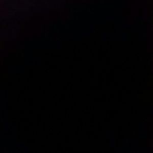 Meet your Posher, Sylvester