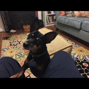 Meet your Posher, Diana