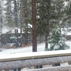 Meet your Posher, Marina