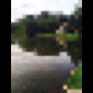 Meet your Posher, Sean