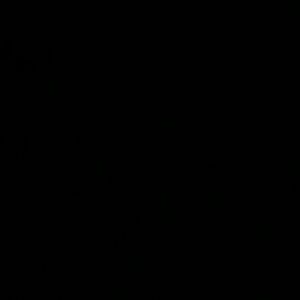 Meet your Posher, Lynn