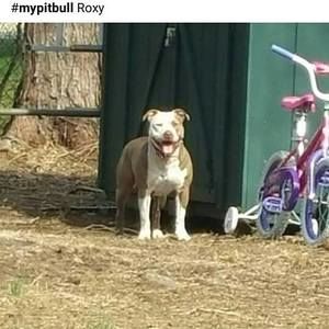 Meet your Posher, Keith