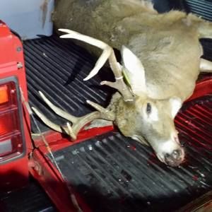 Meet your Posher, Harry