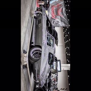 Meet your Posher, Moses