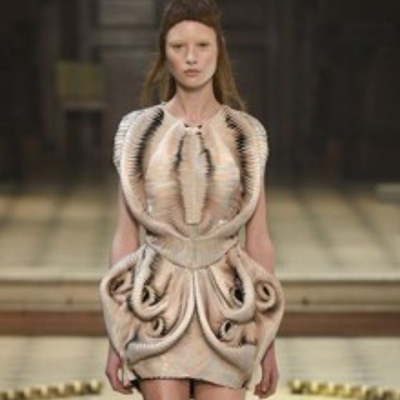 Meet your Posher, Kristen - Picture 1 of 1