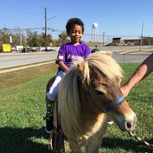 Meet your Posher, Bonnie