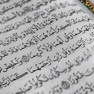 Meet your Posher, Hamid