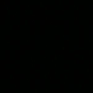 Meet your Posher, Moises