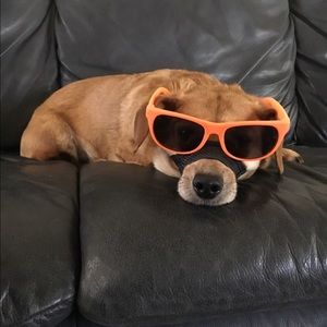 Meet your Posher, Jeremiah