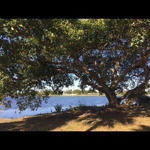 Meet your Posher, Colette