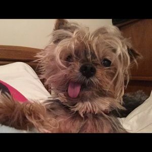 Meet your Posher, Heather