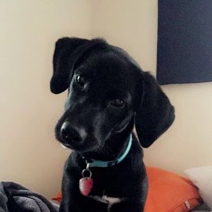 Meet your Posher, Mitchell