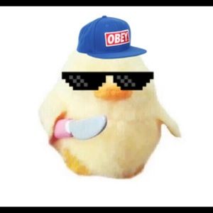 Meet your Posher, Matt