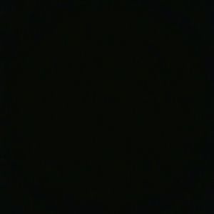 Meet your Posher, Leonardo