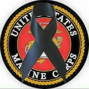 Meet your Posher, Timothy