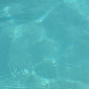 Meet your Posher, Camilo