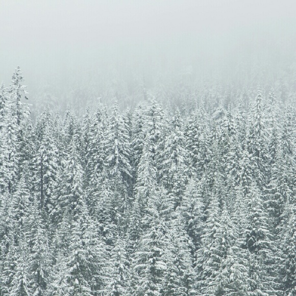 Meet your Posher, Donald - Picture 1 of 1