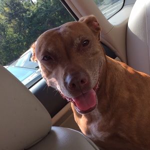 Meet your Posher, Sean