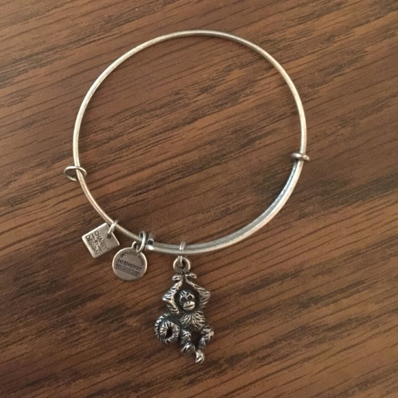 Alex & Ani Money Bracelet