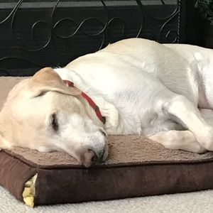 Meet your Posher, Jamie