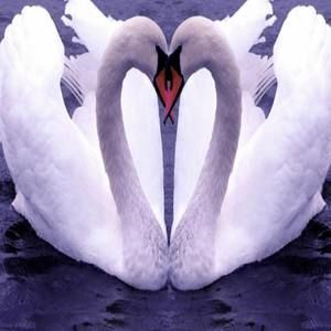 Meet your Posher, Kenyatta