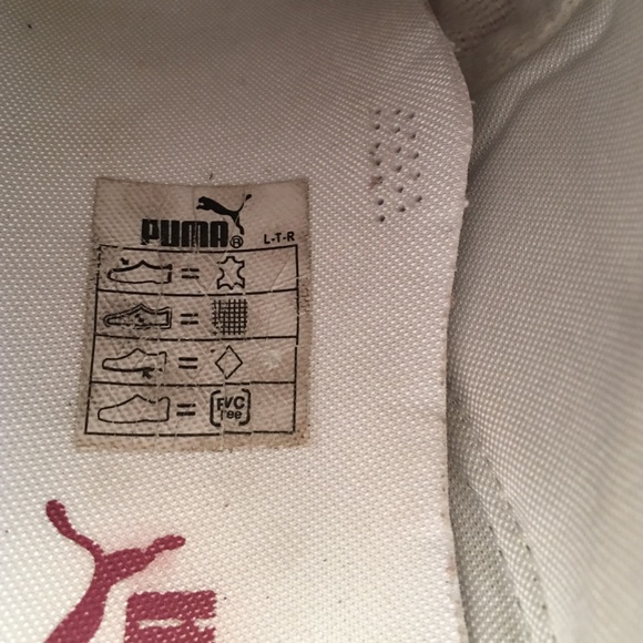Puma - Picture 4 of 4