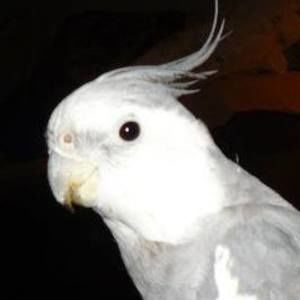 Meet your Posher, Esther