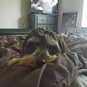 Meet your Posher, Cesley