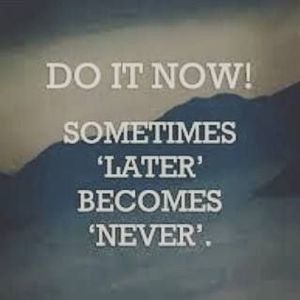 Meet your Posher, Michael