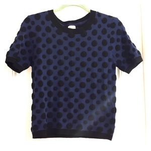 Anthropologie Polkadot Sweater Shirt