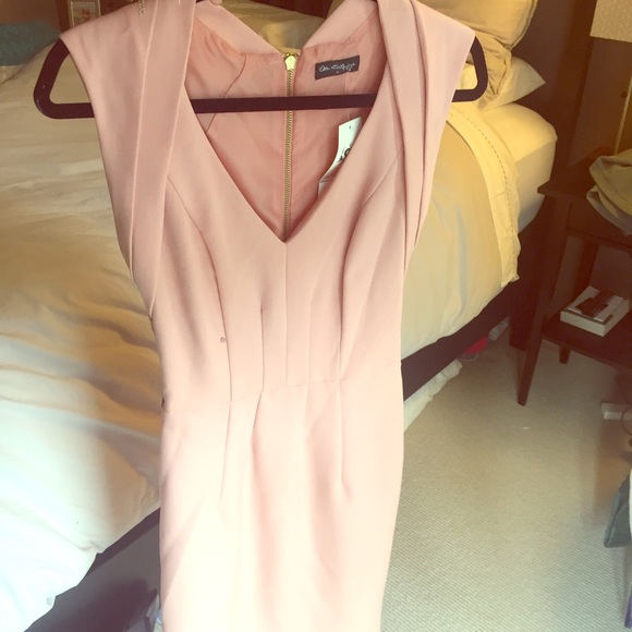 Pink Miss Selfridge Dress