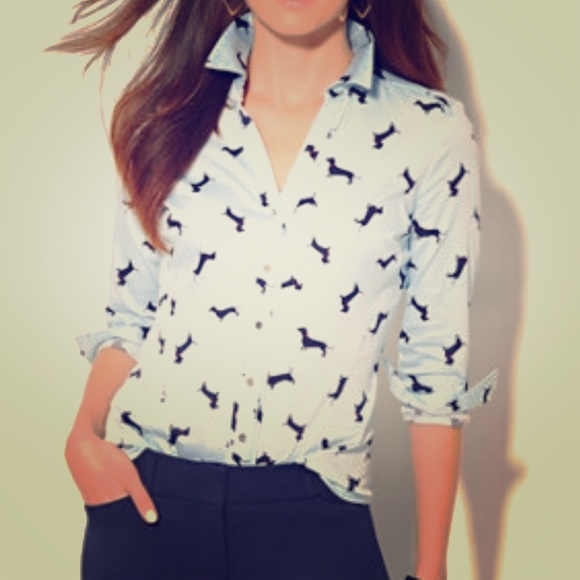 dachshund print shirt