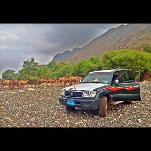 Meet your Posher, Adel