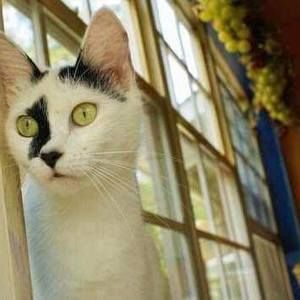 Meet your Posher, Wendy