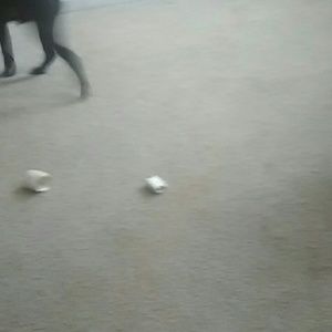 Meet your Posher, Alexie