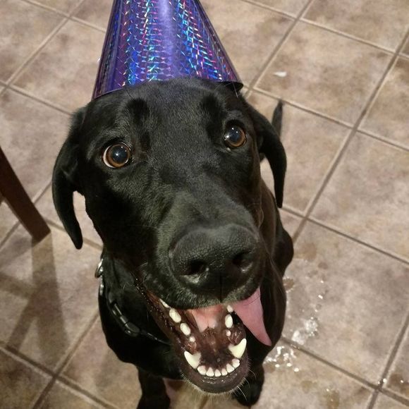 Meet your Posher, Kirsten