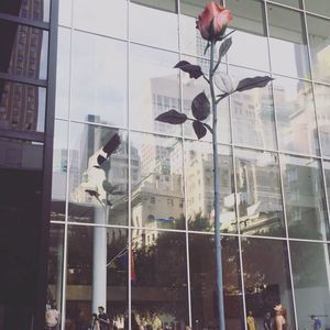 Meet your Posher, Alexis