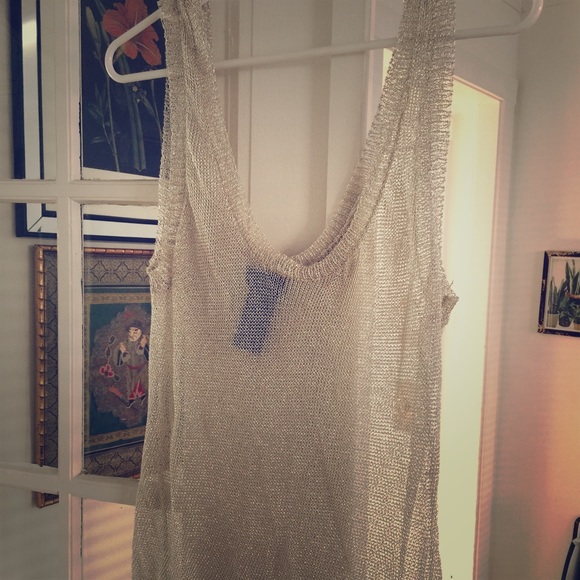 Silver sheer mesh Bebe top.